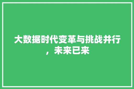大数据时代变革与挑战并行，未来已来