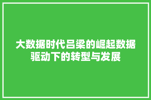 大数据时代吕梁的崛起数据驱动下的转型与发展