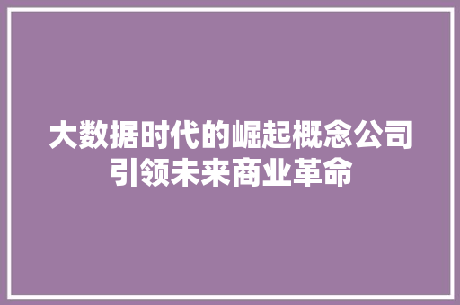 大数据时代的崛起概念公司引领未来商业革命