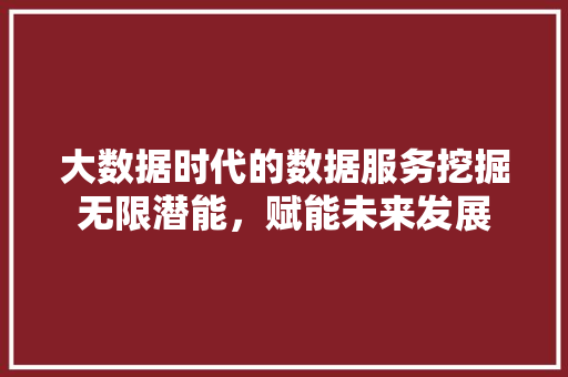 大数据时代的数据服务挖掘无限潜能，赋能未来发展