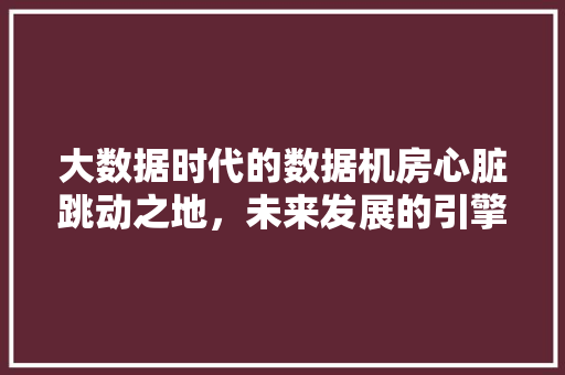 大数据时代的数据机房心脏跳动之地，未来发展的引擎