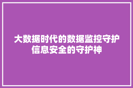 大数据时代的数据监控守护信息安全的守护神
