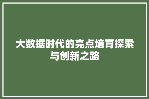 大数据时代的亮点培育探索与创新之路