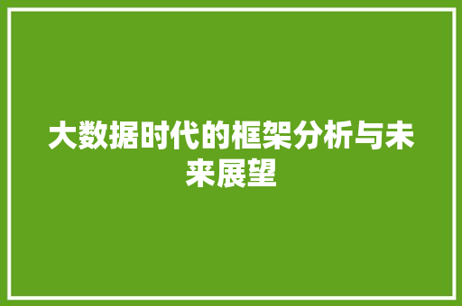 大数据时代的框架分析与未来展望