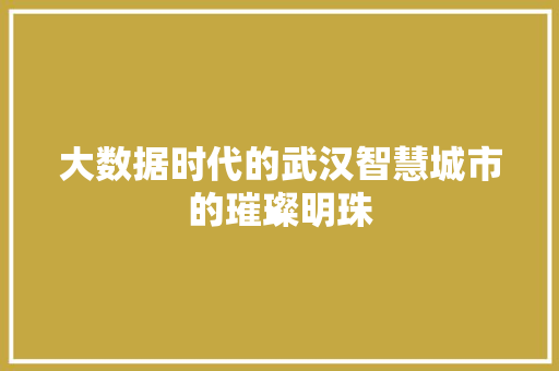 大数据时代的武汉智慧城市的璀璨明珠