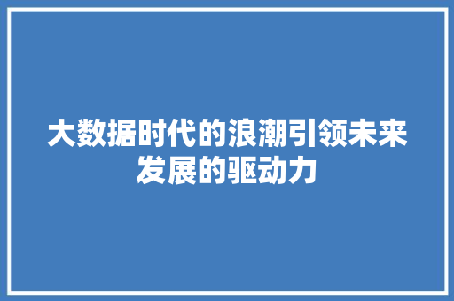 大数据时代的浪潮引领未来发展的驱动力