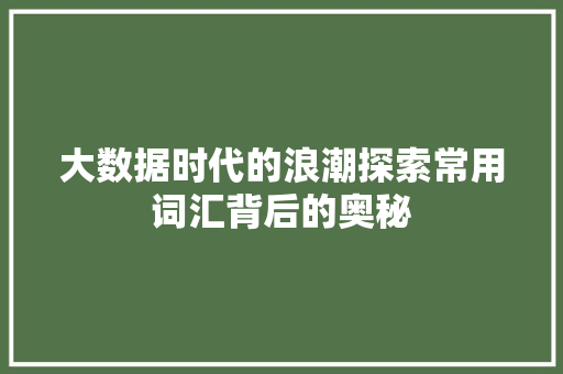 大数据时代的浪潮探索常用词汇背后的奥秘