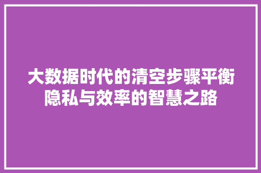 大数据时代的清空步骤平衡隐私与效率的智慧之路