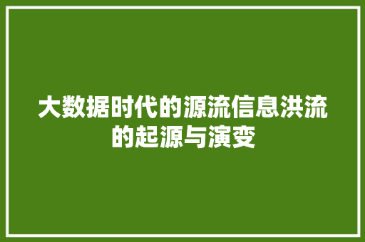 大数据时代的源流信息洪流的起源与演变