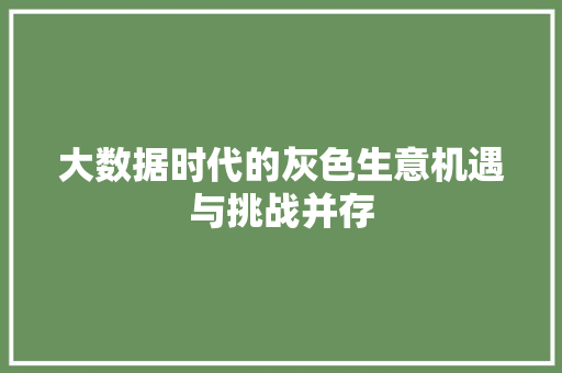 大数据时代的灰色生意机遇与挑战并存
