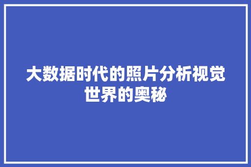 大数据时代的照片分析视觉世界的奥秘 缓存Redis