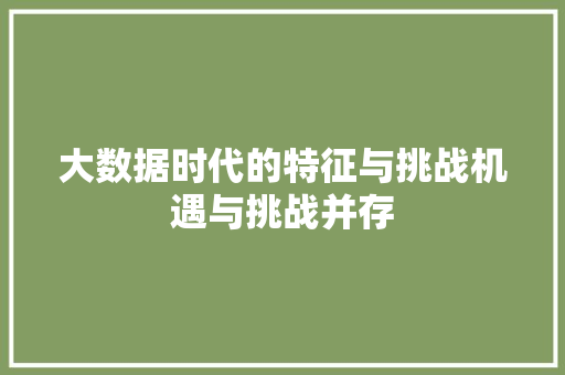 大数据时代的特征与挑战机遇与挑战并存