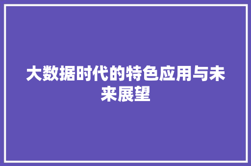 大数据时代的特色应用与未来展望