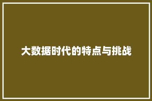 大数据时代的特点与挑战