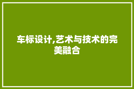 车标设计,艺术与技术的完美融合 项目报告