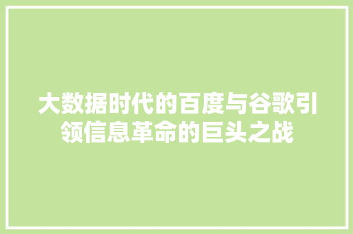 大数据时代的百度与谷歌引领信息革命的巨头之战