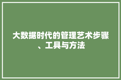 大数据时代的管理艺术步骤、工具与方法