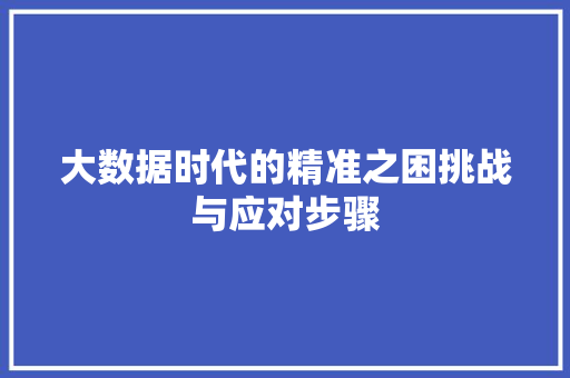 大数据时代的精准之困挑战与应对步骤