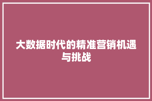 大数据时代的精准营销机遇与挑战