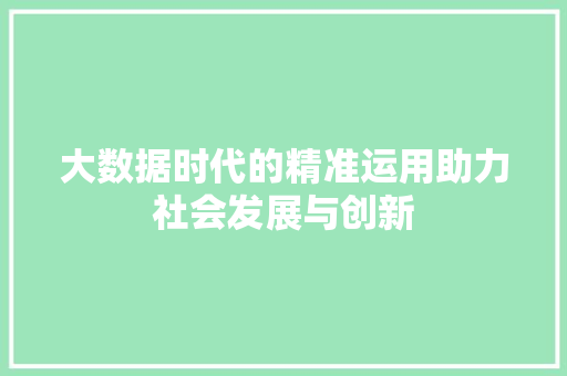 大数据时代的精准运用助力社会发展与创新