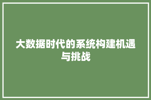 大数据时代的系统构建机遇与挑战