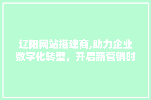 辽阳网站搭建商,助力企业数字化转型，开启新营销时代 项目报告