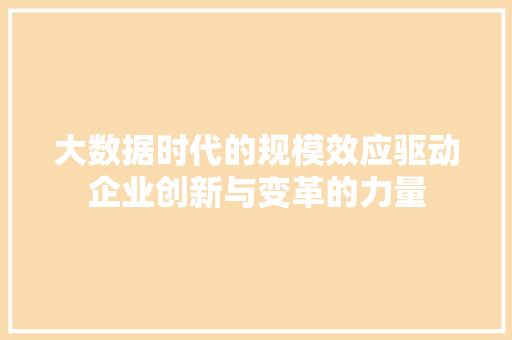 大数据时代的规模效应驱动企业创新与变革的力量