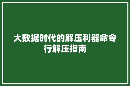 大数据时代的解压利器命令行解压指南