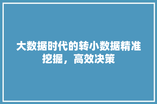 大数据时代的转小数据精准挖掘，高效决策