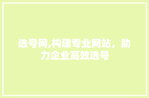 选号网,构建专业网站，助力企业高效选号