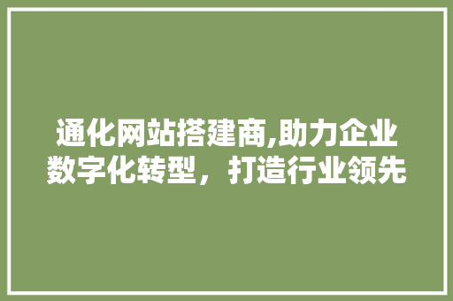 通化网站搭建商,助力企业数字化转型，打造行业领先品牌