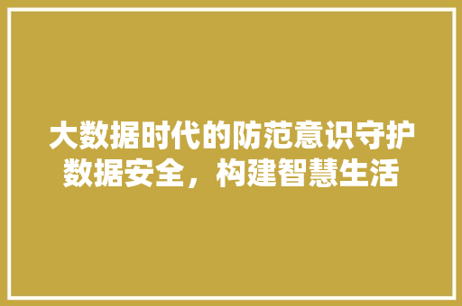 大数据时代的防范意识守护数据安全，构建智慧生活
