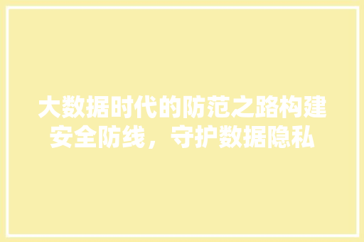 大数据时代的防范之路构建安全防线，守护数据隐私