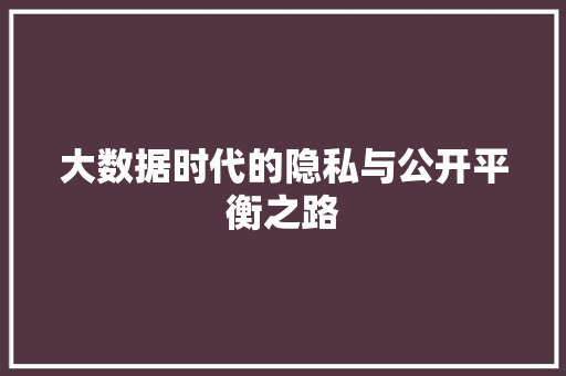 大数据时代的隐私与公开平衡之路