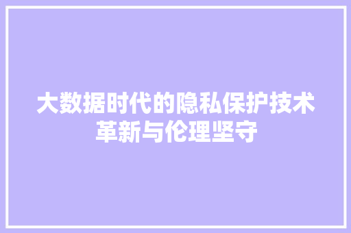 大数据时代的隐私保护技术革新与伦理坚守