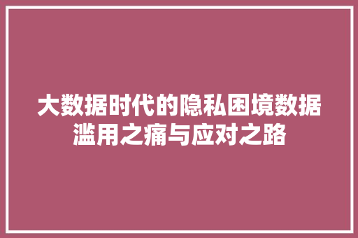 大数据时代的隐私困境数据滥用之痛与应对之路