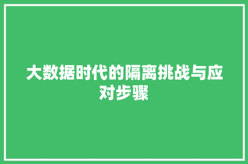 大数据时代的隔离挑战与应对步骤