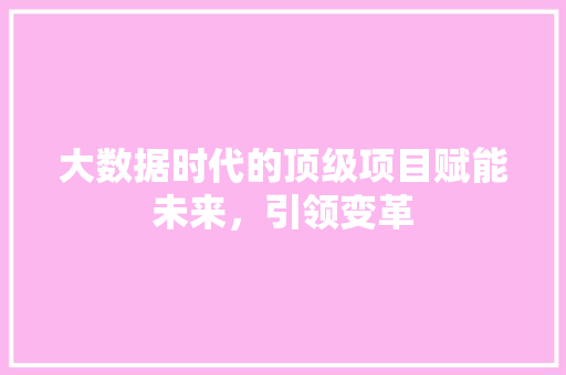 大数据时代的顶级项目赋能未来，引领变革