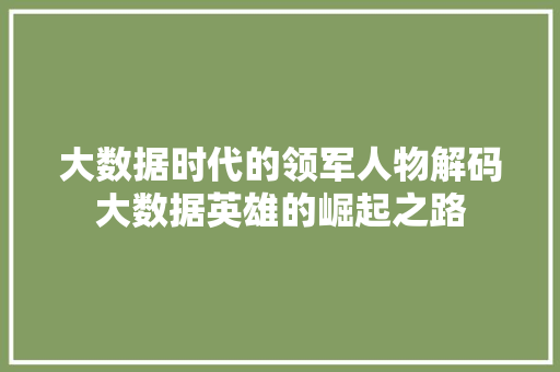 大数据时代的领军人物解码大数据英雄的崛起之路