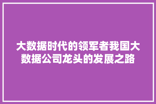 大数据时代的领军者我国大数据公司龙头的发展之路