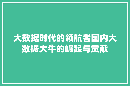大数据时代的领航者国内大数据大牛的崛起与贡献
