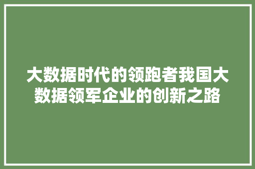 大数据时代的领跑者我国大数据领军企业的创新之路