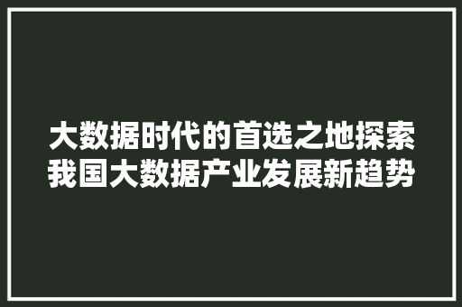 大数据时代的首选之地探索我国大数据产业发展新趋势
