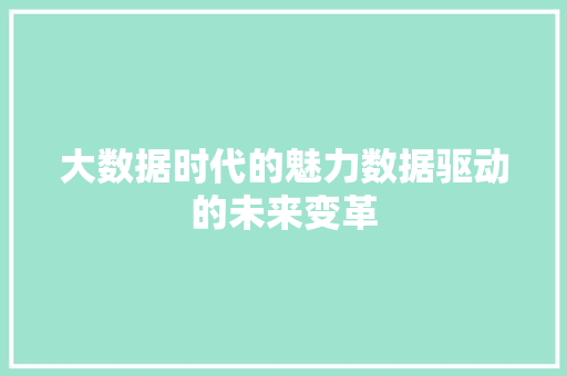 大数据时代的魅力数据驱动的未来变革