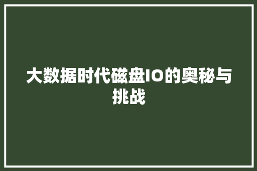 大数据时代磁盘IO的奥秘与挑战