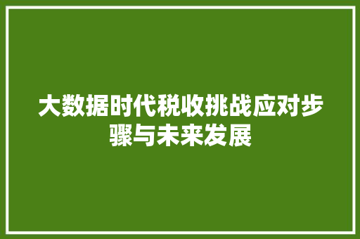 大数据时代税收挑战应对步骤与未来发展