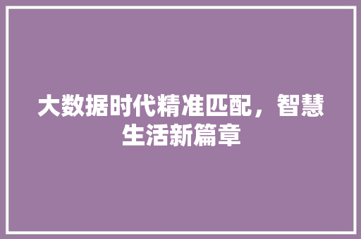 大数据时代精准匹配，智慧生活新篇章