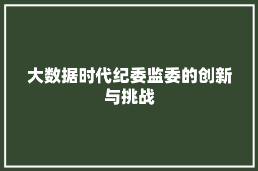 大数据时代纪委监委的创新与挑战
