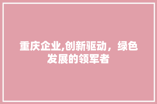 重庆企业,创新驱动，绿色发展的领军者 项目报告