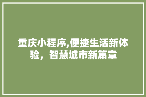 重庆小程序,便捷生活新体验，智慧城市新篇章 缓存Redis